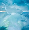 Sochy z ledu v ledovm pavilnu