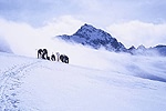 Cestou do sedla Granat-Sch. (2974m) na ledovci Pragrat kees