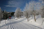 PF 2008 - pekne cesty - pozdrav ze zimnich Krkonoš Karel